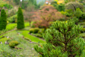 Obraz premium カナダのヴィクトリアの観光名所を旅行している風景 Scenes from a trip to the sights of Victoria, Canada. 