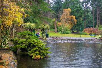 カナダのヴィクトリアの観光名所を旅行している風景 Scenes from a trip to the sights of Victoria, Canada. 