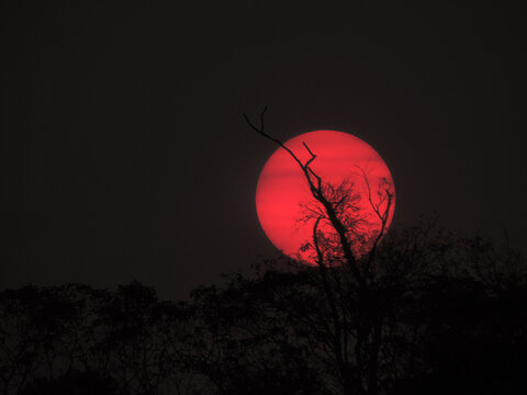 Super Blood Moon - Lunar Eclipse