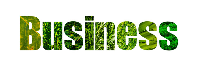 Green Business