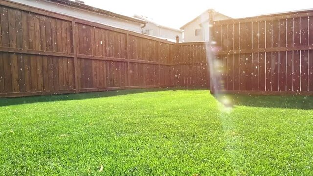 A green lawn grass back yard while raining during a sunny day
