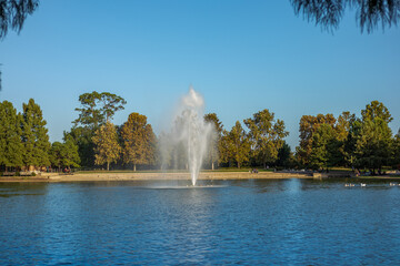Dia de descanso en parque de la ciudad