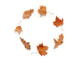 Round frame of yellow dry maple and oak leaves isolated on white background. utumn, fall, thanksgiving day concept. Flat lay. Top view. Copy space.