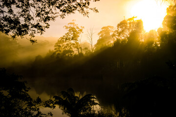 Golden Sun rising over the forest of a misty lake