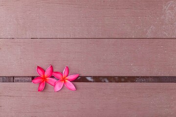 Light brown wood floors and fallen flowers on the floor for a background image