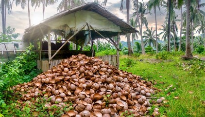 A large pile of cut coconut husks outside a homemade shed on Mindoro Island, where they will be carbonized and turned into charcoal, a popular cooking fuel in the Philippines.