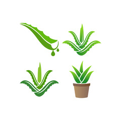 Aloe vera icon set design illustration template