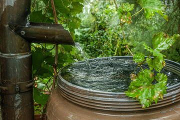 Regenfallrohr  und Regenklappe mit überlaufendem Wasserfass