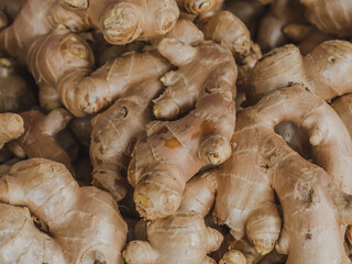 Fresh ginger on shelves at supermarket.