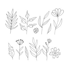 abstract flowers and leaves icon set. hand drawn doodle. vector, scandinavian, nordic, minimalism, monochrome. plant, herbarium.