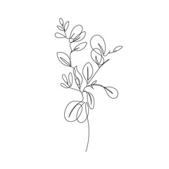 Continuous Line Drawing Of Plant Black Sketch Isolated on White Background. Leaves One Line Illustration. Minimalist Botanical Drawing. Vector EPS 10.