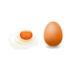 Raw egg with big yolk and brown chicken eggshell.