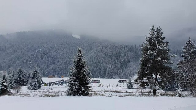 Beautiful winter snowing scene at Bukovel ski resort in Ukrainian Carpathians. Snowflakes falling from the sky. Snowy fir forest on the hill and white covered houses