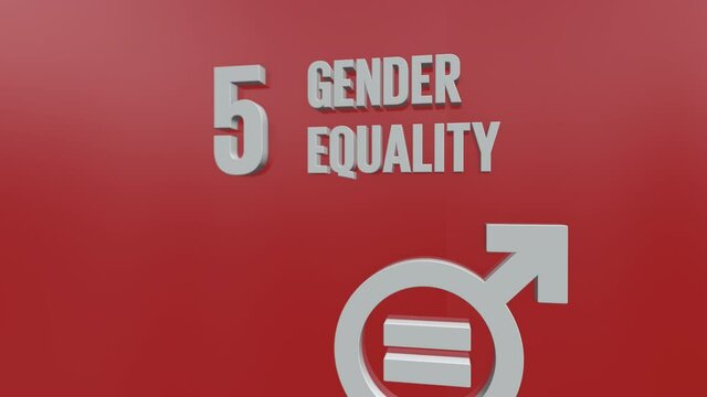 Sustainable Development Goal 5 Gender Quality SDG Motion Graphics Concept