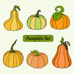 A set with pumpkins for autumn or Halloween, an illustration with pumpkins