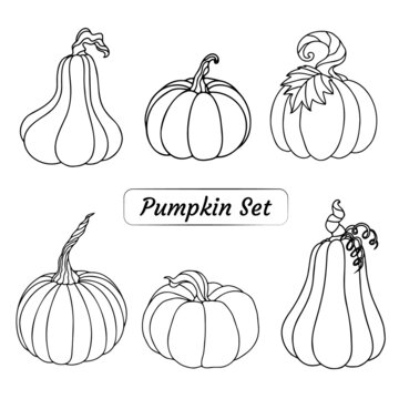 A set with pumpkins for autumn or Halloween, an illustration with pumpkins