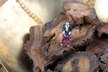 Chinese medicine rhubarb and old man model on it