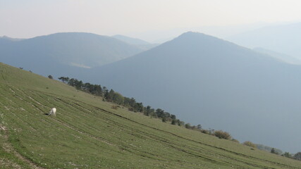 Paesaggio montuoso