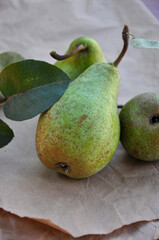 Fresh eco pear with leaves. Bio Healthy food.
Healthy organic pears. Autumn harvest of fruits and berries.  On craft paper. 
