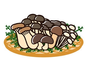 秋の食材　きのこ盛り合わせ