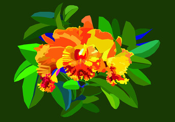 Beautiful flower Cattleya is an economic plant used to decorate buildings.