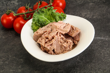 Canned tuna fillet in the bowl