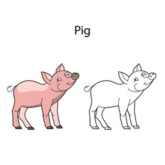 Funny cute animal pig isolated on white background. Linear, contour, black and white and colored version. Illustration can be used for coloring book, design template and pictures for children