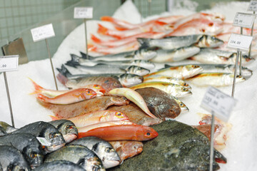 Fresh fish assorted on ice counter in supermarket