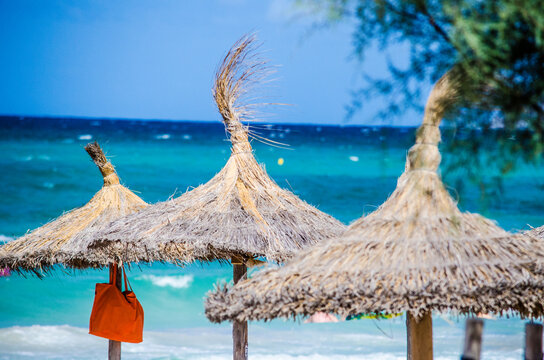 Orange in the Ocean