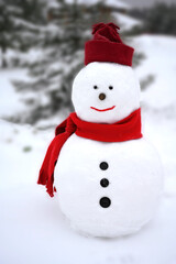 Snowman wearing a winter hat. scarf on white background and standing by a tree.