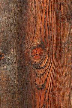 Old brown wood