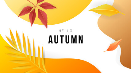 Fototapeta na wymiar Banner Autumn background with copy space for text , for content online or web, banner and template, Simple cartoon flat style. illustration Vector EPS 10