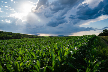 Summer storm in the making over the farmland in the hungarian countryside