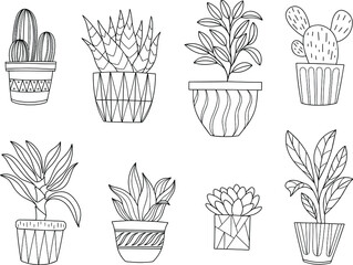 Hand drawn doodle. Houseplants collection. Vector interior plants in pots. Vector illustration set
