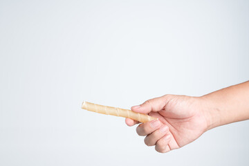 Hand holding spiral pet jerky treat stick