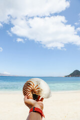 Fototapeta na wymiar Hand holding empty hermit crab shell with blurry background of beach