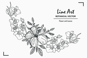 Line art botanical leaf and flower drawings