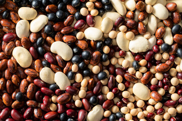 多種類の豆の集合
