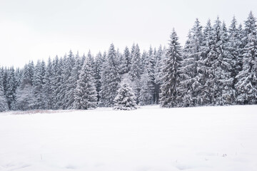 Landscape in the winter
