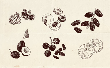 Hand drawn illustration, vintage drawing of dried fruits - 452447666