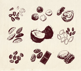 Hand drawn illustration, vintage drawing of nuts and seeds - 452447802