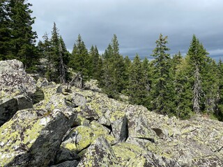 Climbing the Kruglitsa mountain. The route to the Autograph plateau and Kruglitsa Mountain from the...
