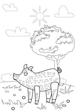 Cute Pig farm animals coloring book educational illustration for children. Rural landscape colouring page. Vector black white outline cartoon characters