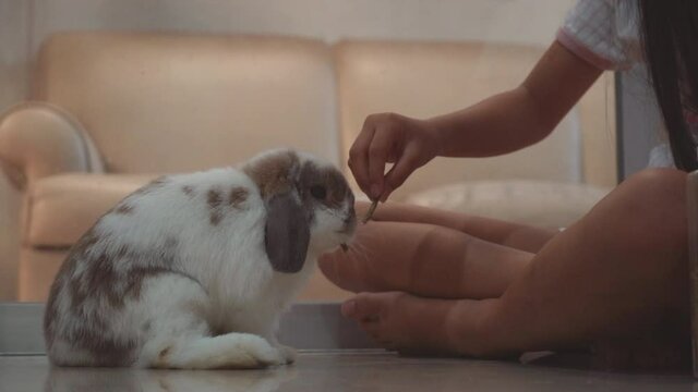 The girl are feeding rabbit food.