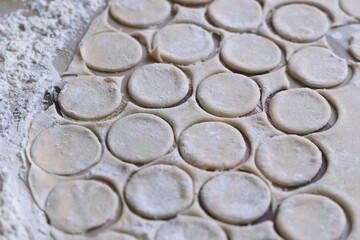 Selective focusing of raw dough blanks for dumplings in close-up
