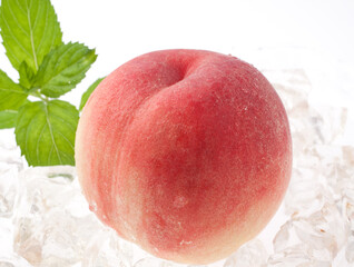 桃　もも　飛騨桃　　