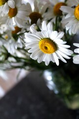 Obraz premium Beautiful White Daisy Bouquet