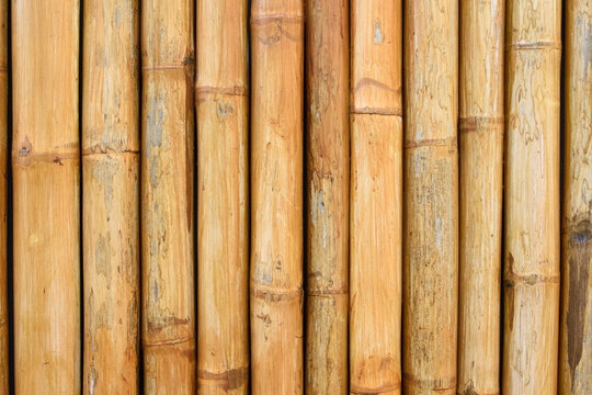 Natural bamboo fence background in the garden.
