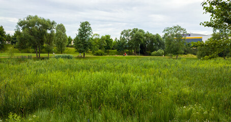 Pond in the city park 