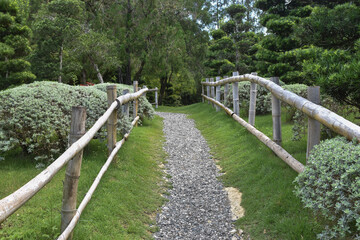 Fototapeta na wymiar Wood path Dominican Republic